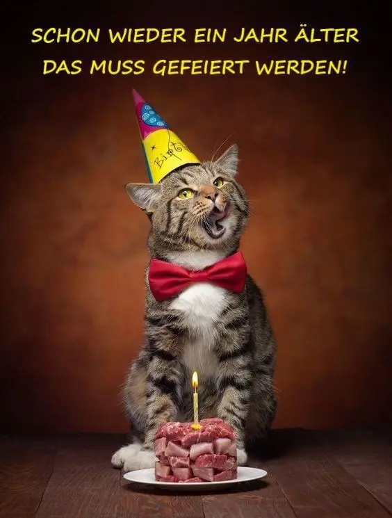 Condolence image of Für das unvergessene kleine Geburtstagssternchen Timmy ♥️