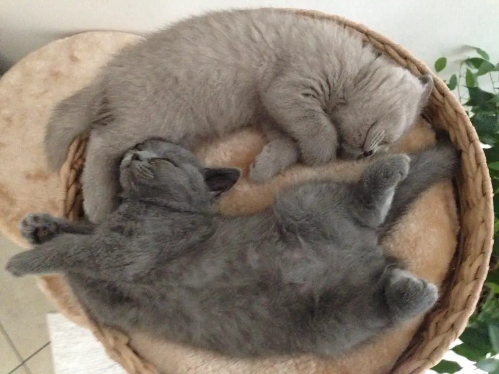 Condolence image of An Mama Tanja