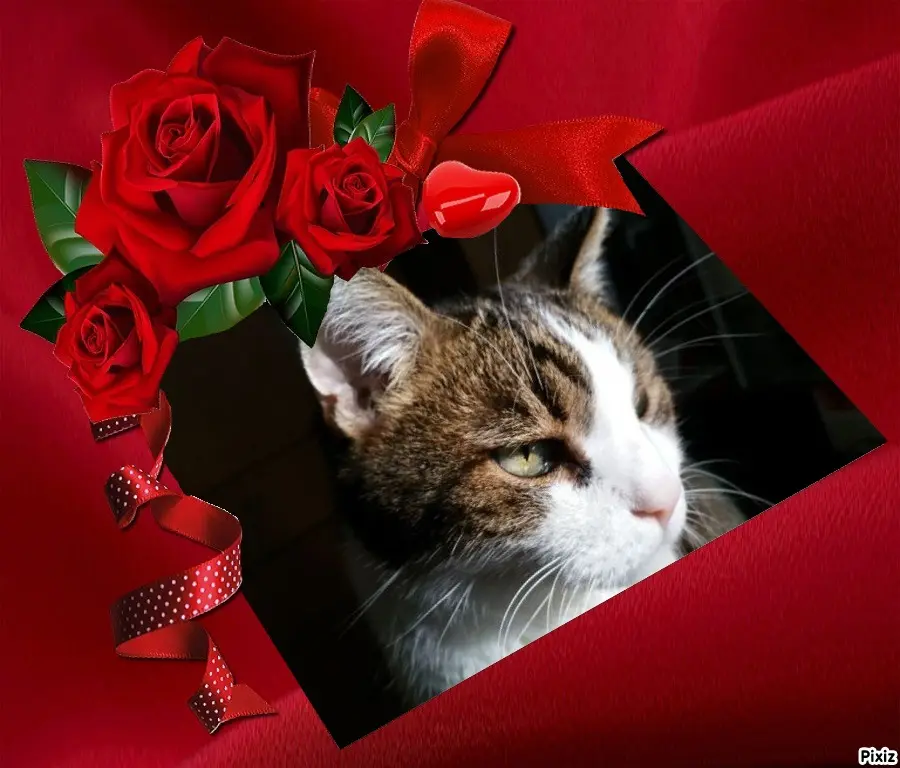 Condolence image of Patricia mit Bunny ❤