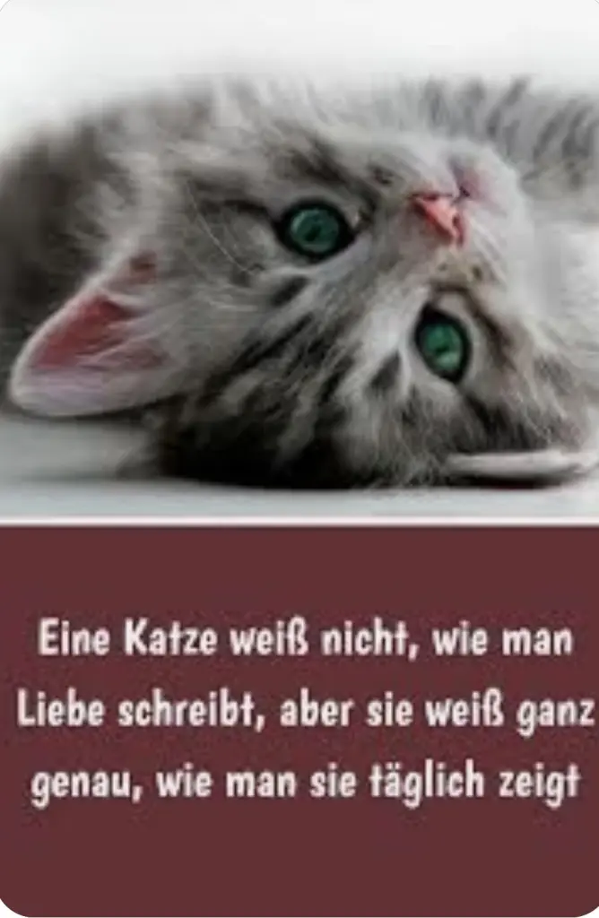 Condolence image of Sonja mit Emma tief im Herzen 