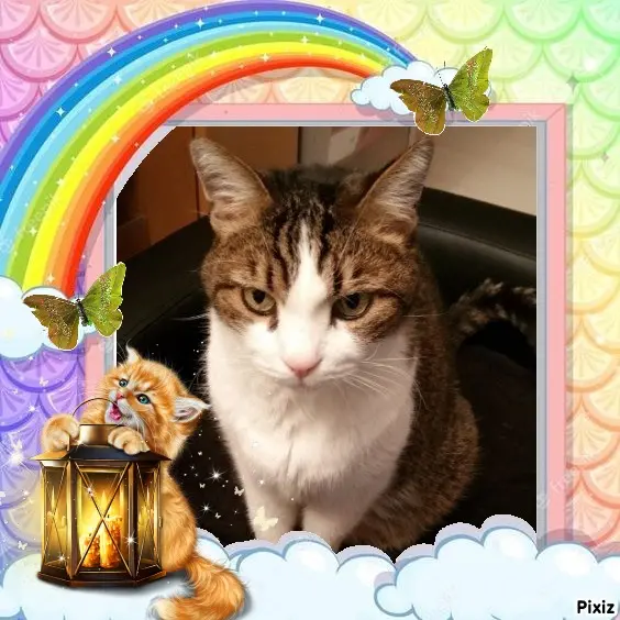 Condolence image of Patricia mit Bunny ❤