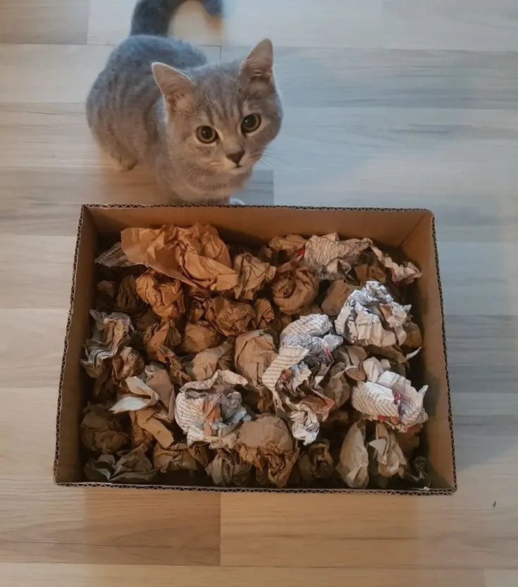 Condolence image of Andrea mit Minki im ♥️