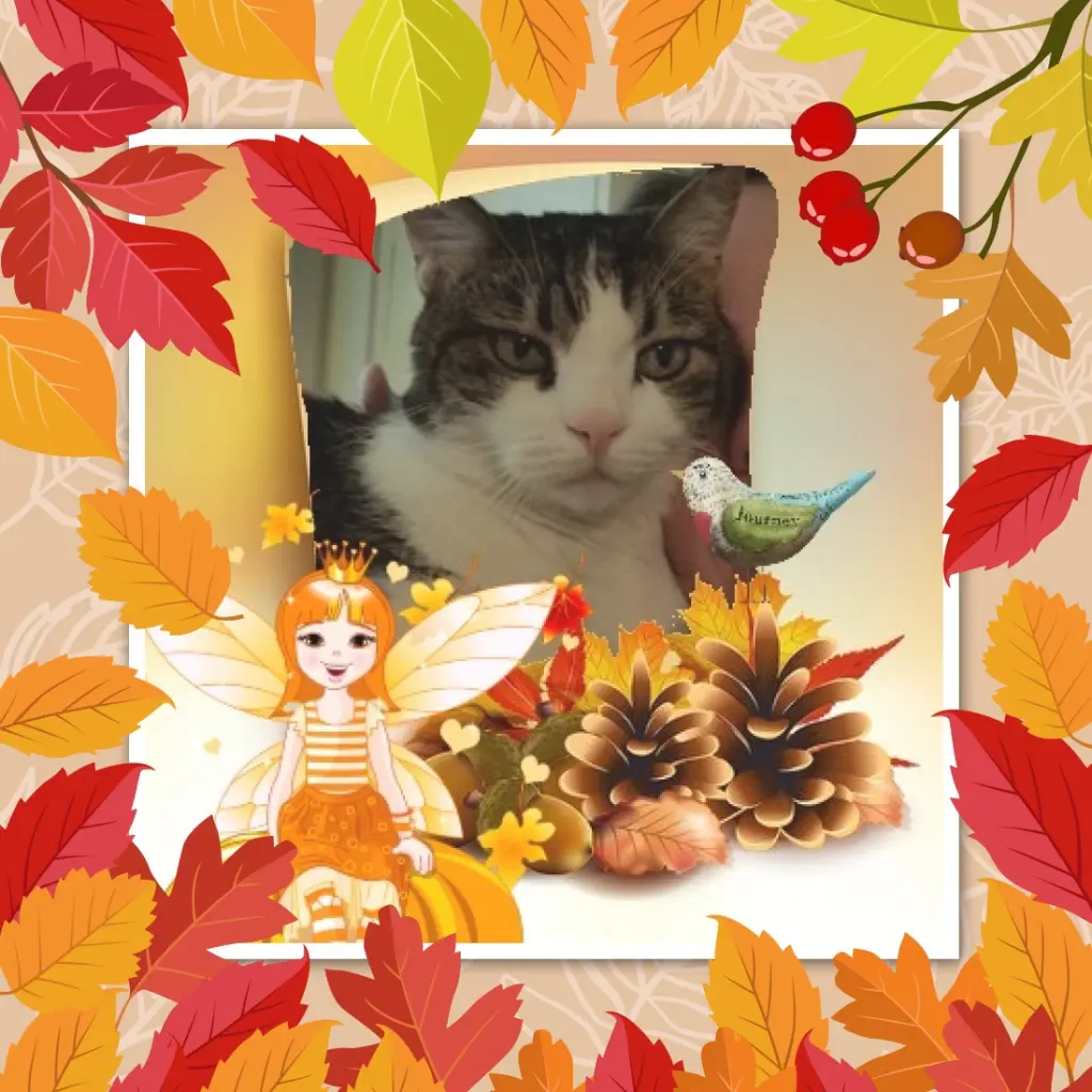 Condolence image of Sonntags❤️Rosen❤️❤️❤️❤️❤️❤️