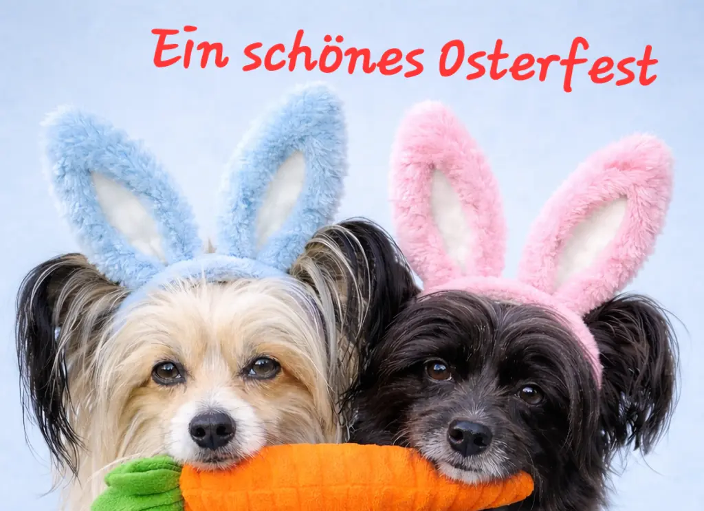 Condolence image of Michaela