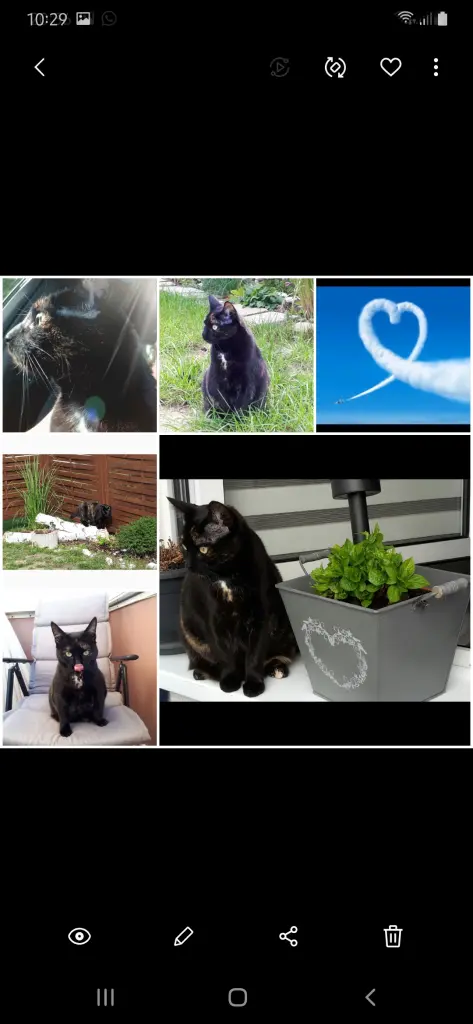 Image from Maja