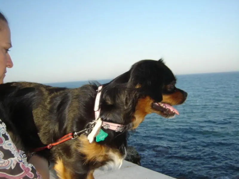Bild von Vicky
