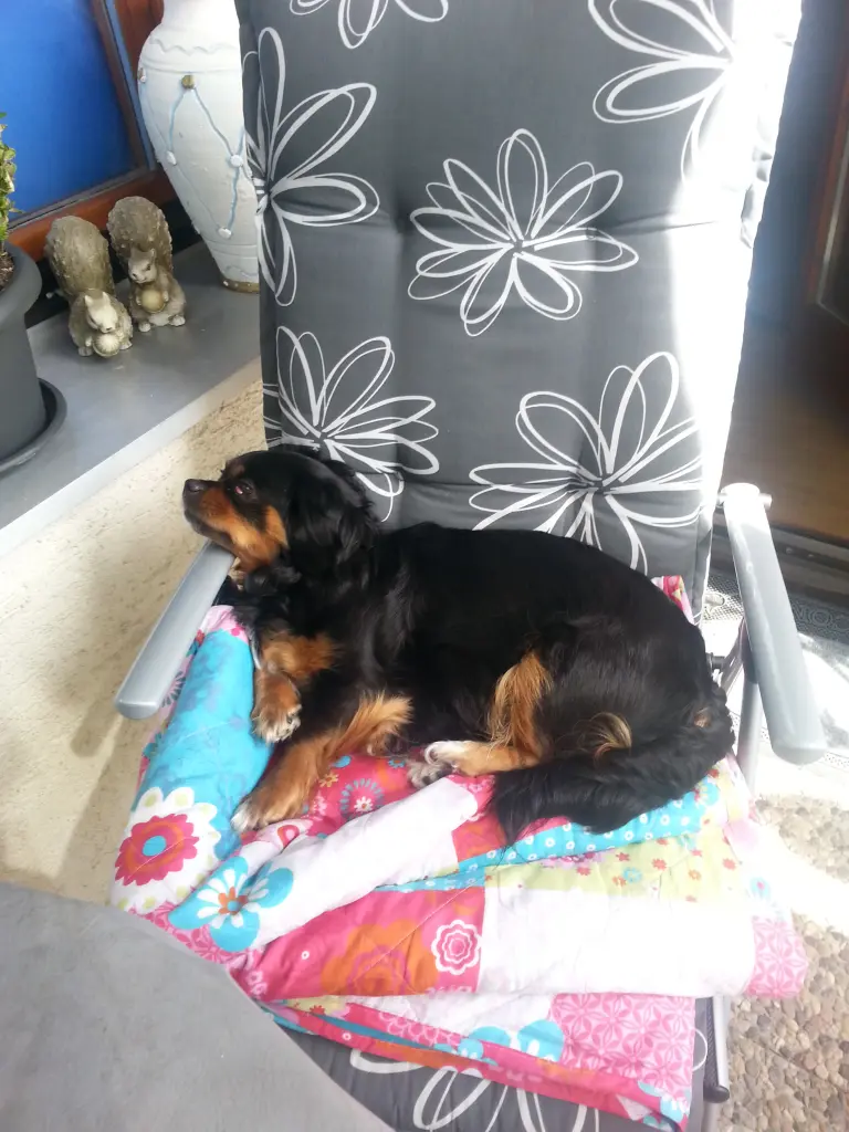 Bild von Vicky