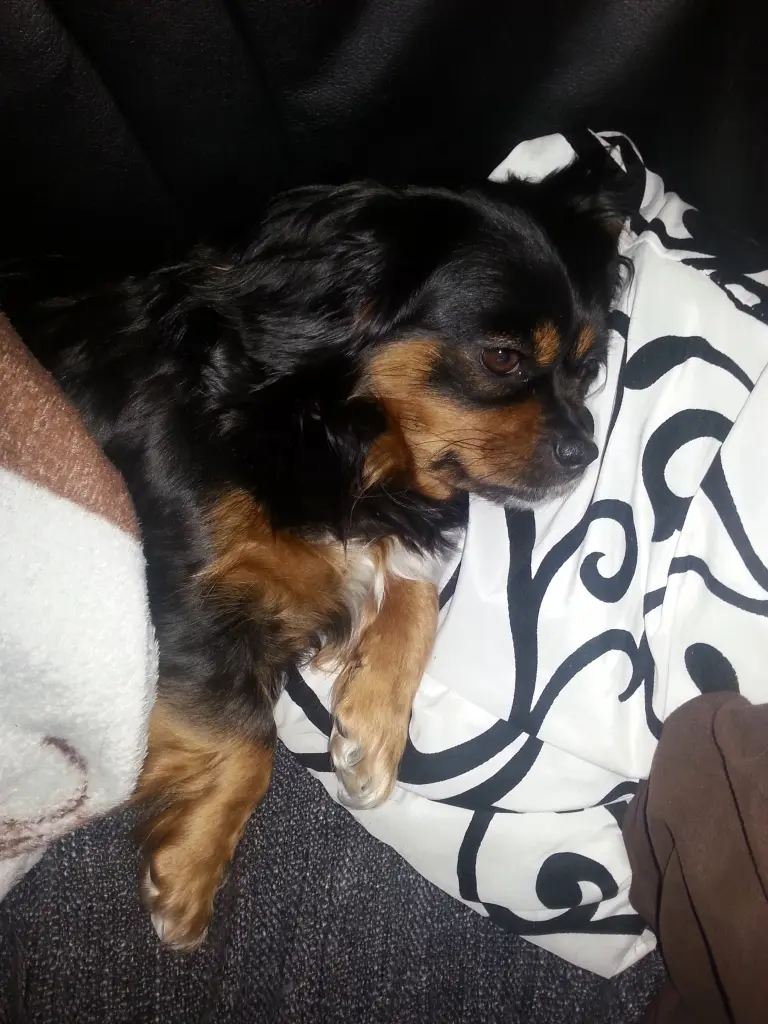 Bild von Vicky