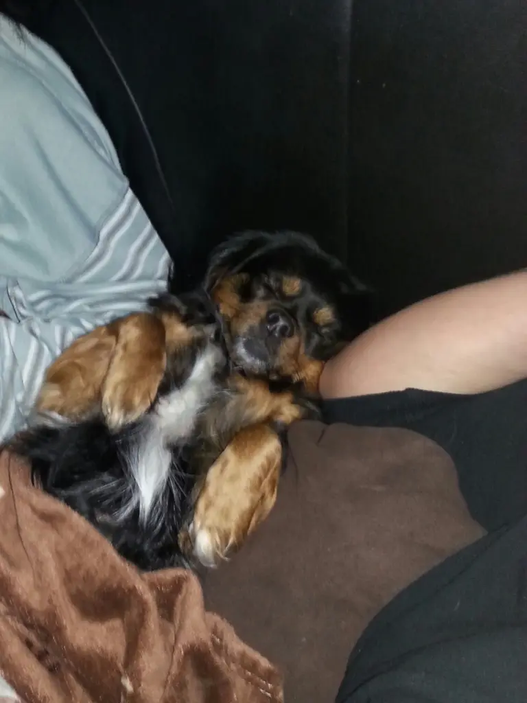 Bild von Vicky