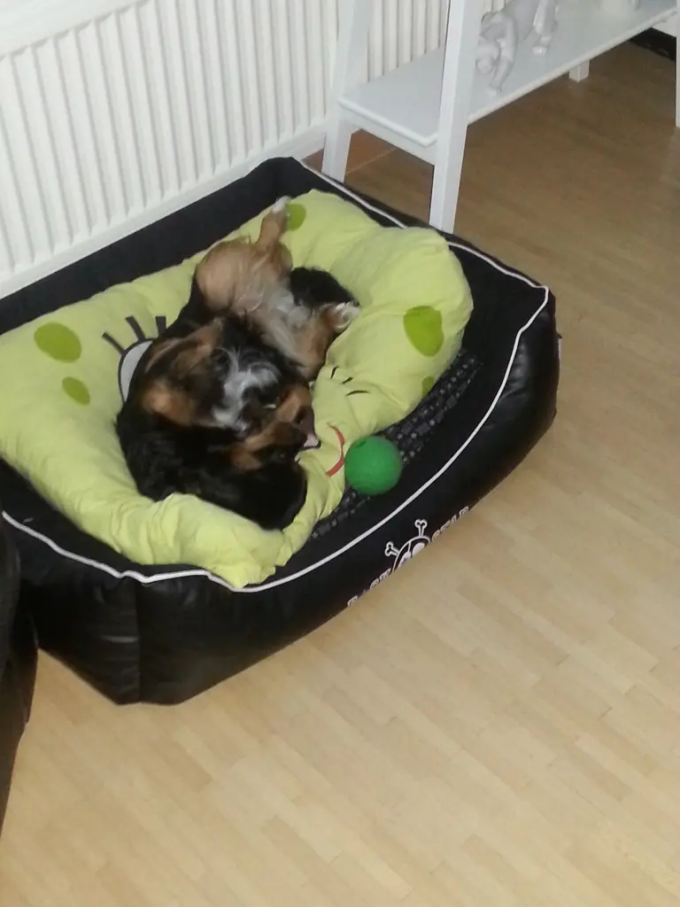 Bild von Vicky