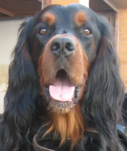 Condolence image of edgar mit ole