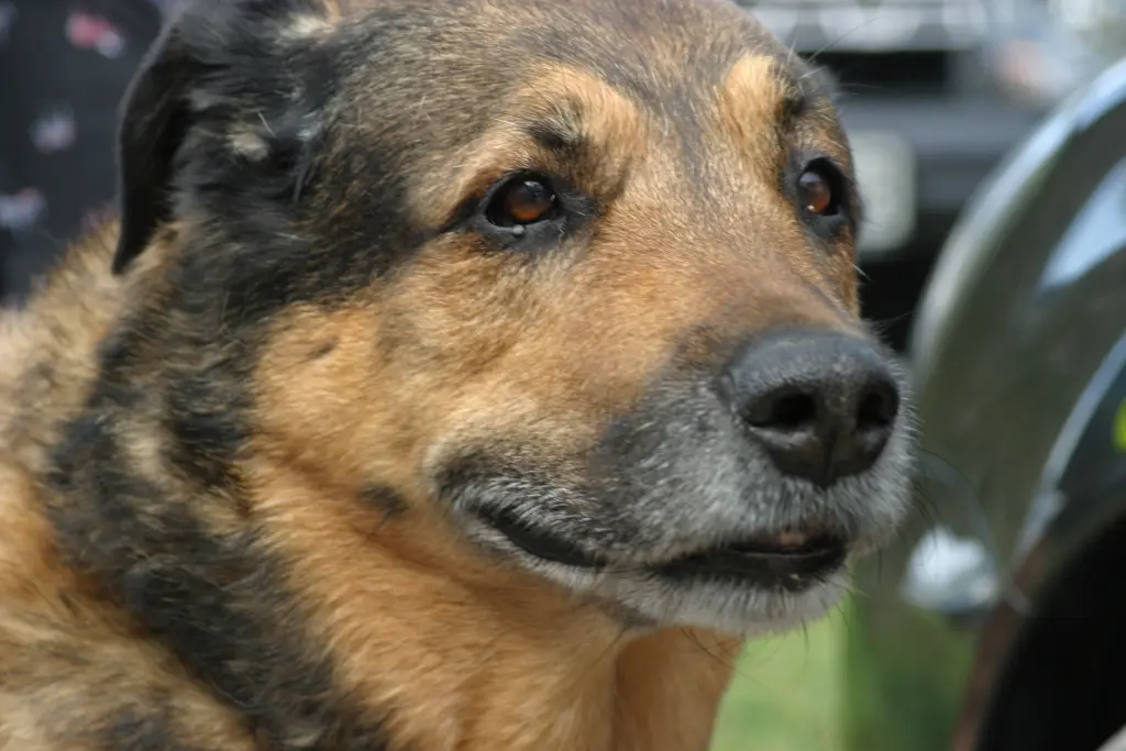 Condolence image of Yvonne