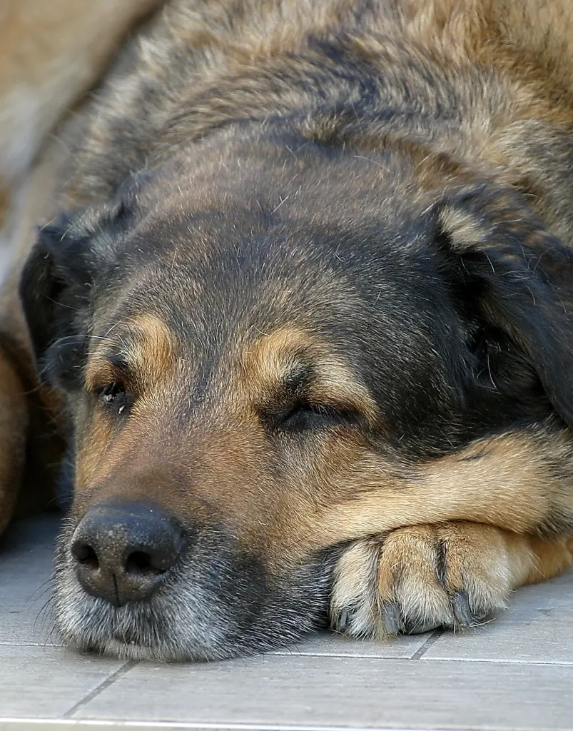 Condolence image of Yvonne