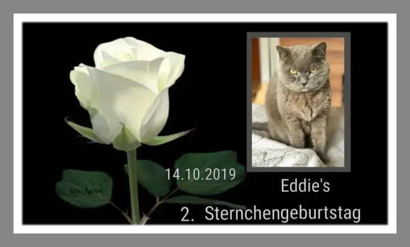 Condolence image of Sabine mit Kaspar tief im Herzen
