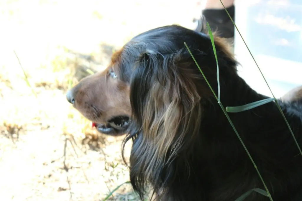 Image from Jack