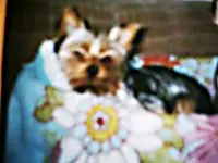 Bild von Farina