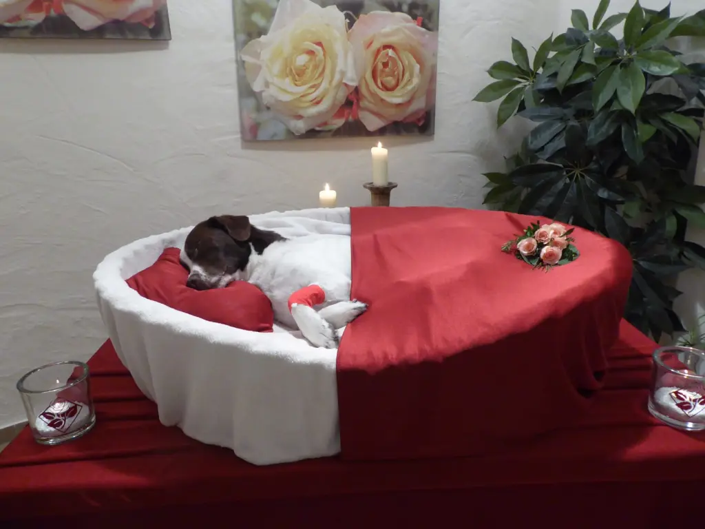 Condolence image of Marion