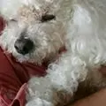 Condolence image of Angela für meine Geliebte Mädchen CHERI ❤✨