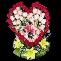 Condolence image of Für DICH Mein kleiner Engel CHERI ⭐