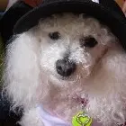 Condolence image of Angela für meine kleine Mädchen Cheri*♥️✨️