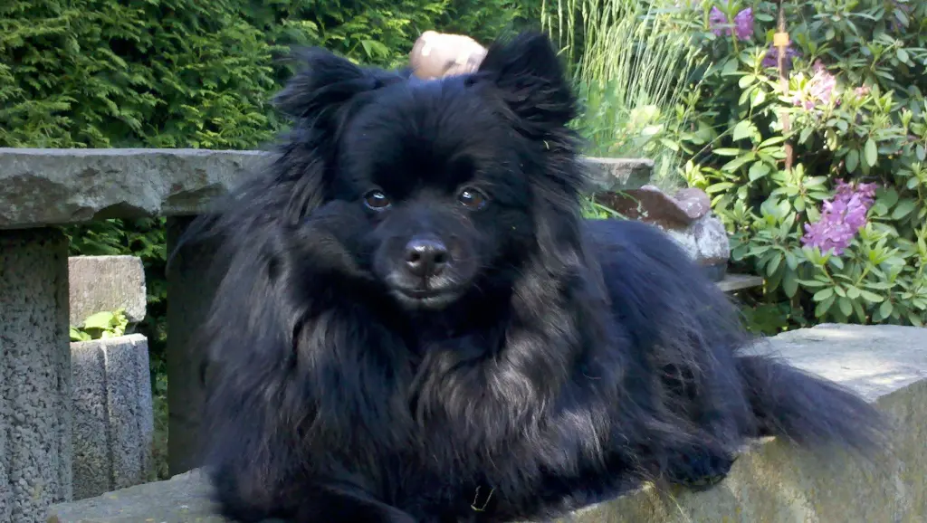 Bild von Jeanny