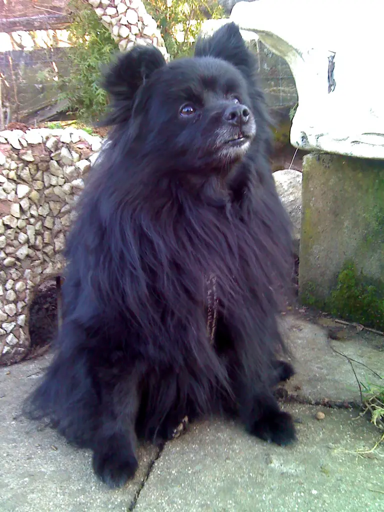 Bild von Jeanny