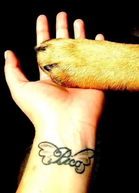Condolence image of Lena