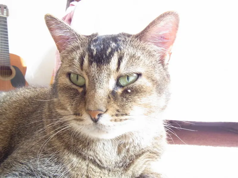 Condolence image of Daniela
