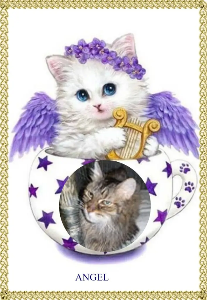 Condolence image of Fur Liebste❤️❤️❤️Pummelchen❤️und Mietzilein❤️