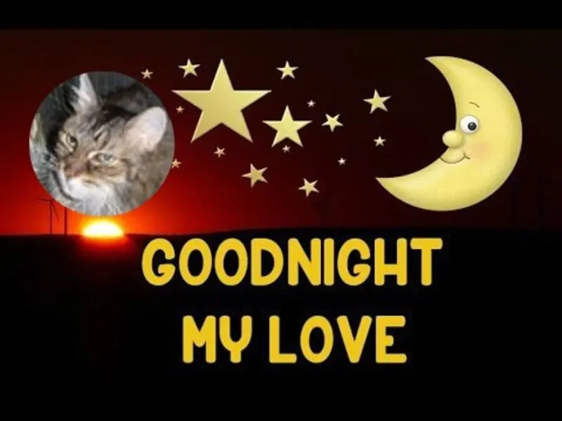 Condolence image of Gute Nacht❤️❤️❤️