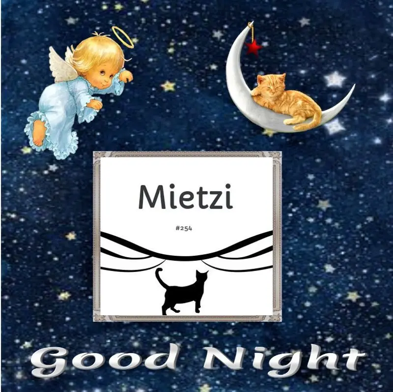 Condolence image of Gute Nacht❤️❤️❤️