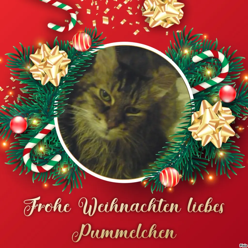 Condolence image of Tanja mit Timmy im Herzen
