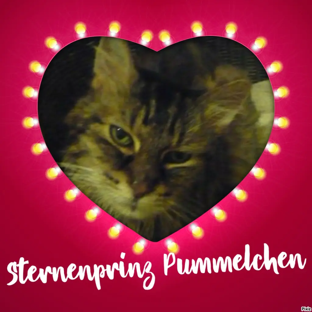 Condolence image of Tanja mit Timmy im Herzen