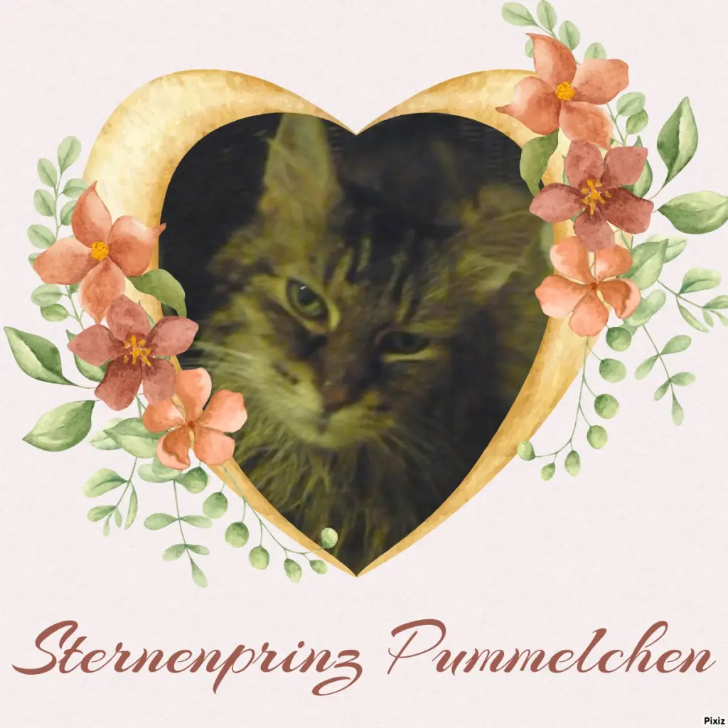 Condolence image of Tanja mit Timmy im Herzen