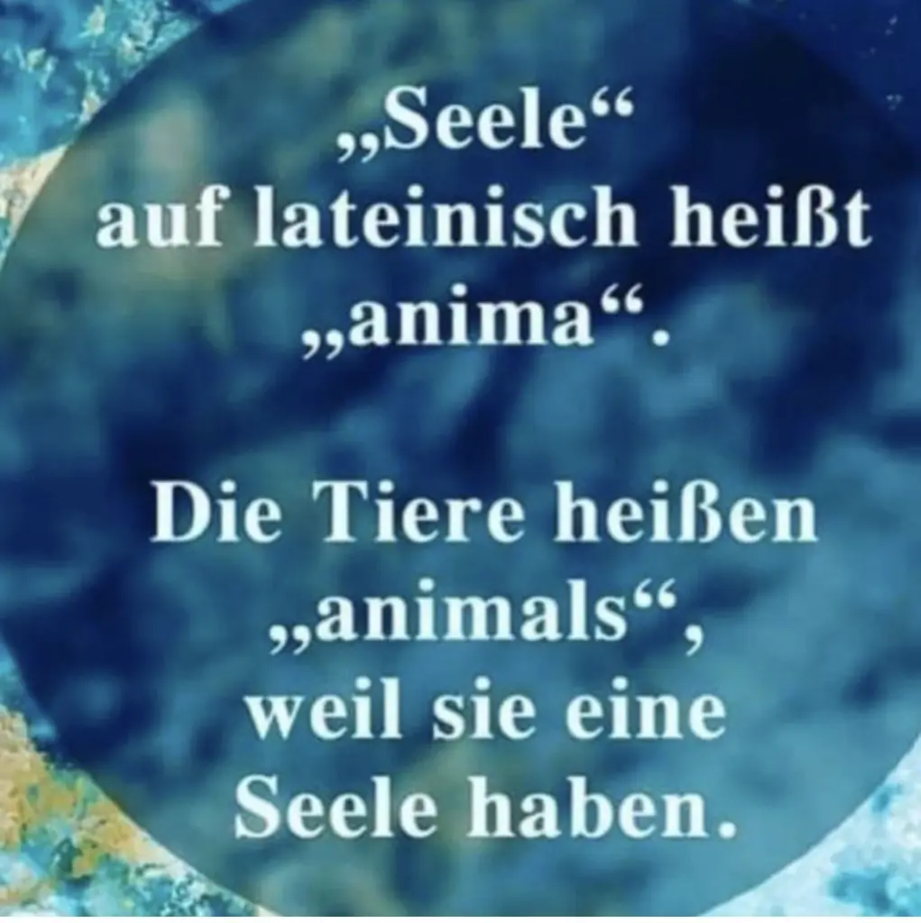 Condolence image of Emma und Sonja