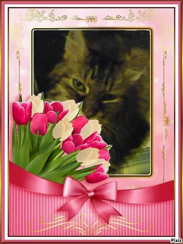 Condolence image of Tanja mit Timmy im Herzen