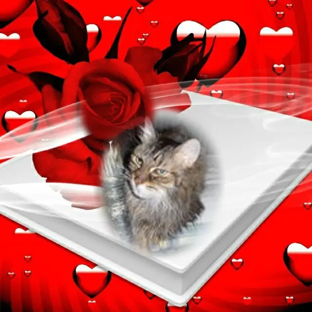 Condolence image of Fur Pummelchen❤️