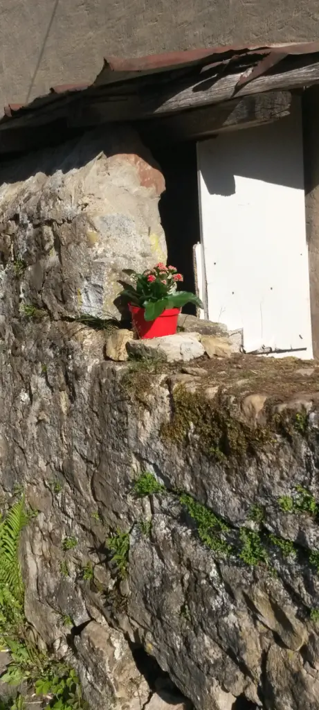 Condolence image of Corinna mit Emma, Pummelchen und anderen Sternlein im Herzen
