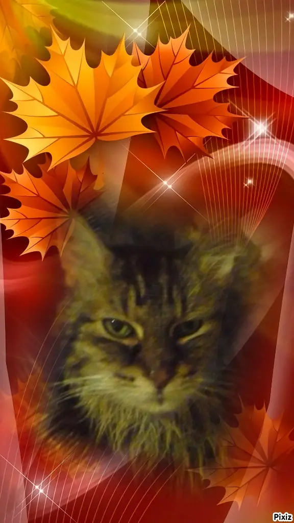 Condolence image of Tanja mit Timmy im Herzen