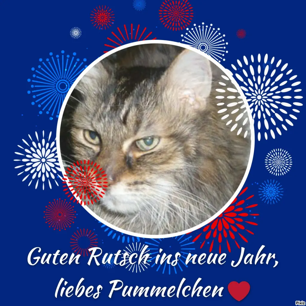 Condolence image of Timmys Mutti Tanja an Sternenprinz Pummelchen ❤