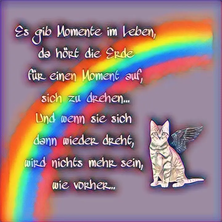 Condolence image of Für Dich kleines Sternchen Pummelchen ♥️