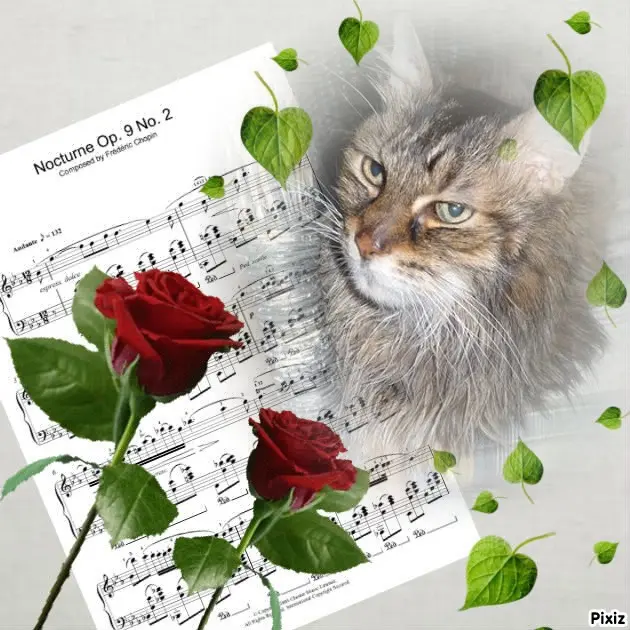 Condolence image of Sonntags❤️Rosen❤️❤️❤️❤️❤️❤️