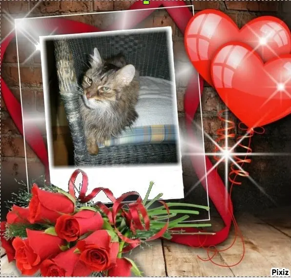 Condolence image of Tanja mit Timmy im Herzen 