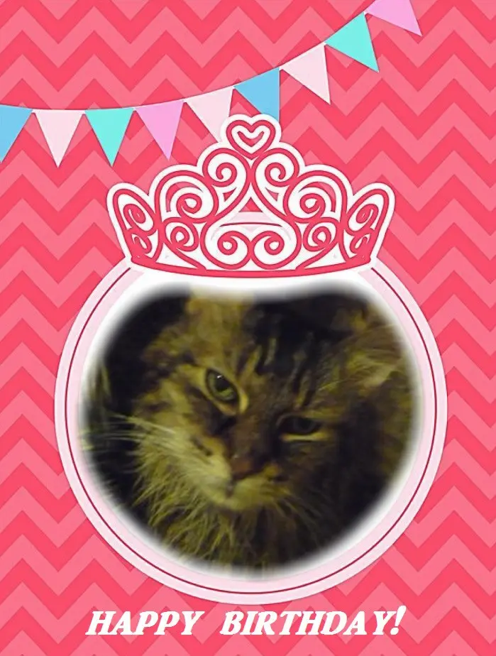 Condolence image of 18. Geburtstag❤️❤️❤️❤️❤️❤️❤️❤️❤️❤️❤️❤️❤️❤️❤️❤️❤️❤️
