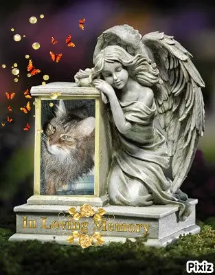 Condolence image of Tanja mit Timmy im Herzen