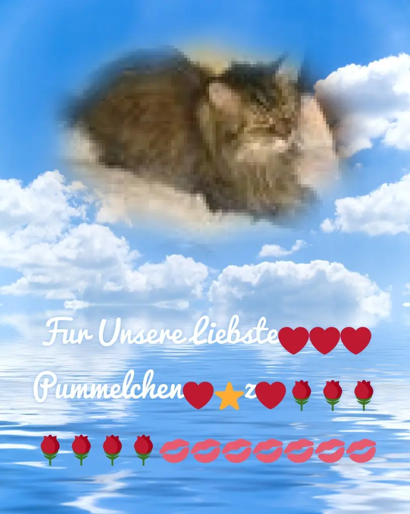Condolence image of 4.Sternchen❤️Gedenktag❤️❤️❤️❤️