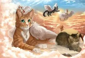 Condolence image of 4.Sternchen❤️Gedenktag❤️❤️❤️❤️