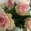 Condolence image of Anja mit Maja & Gräuli im ༺❤️༻