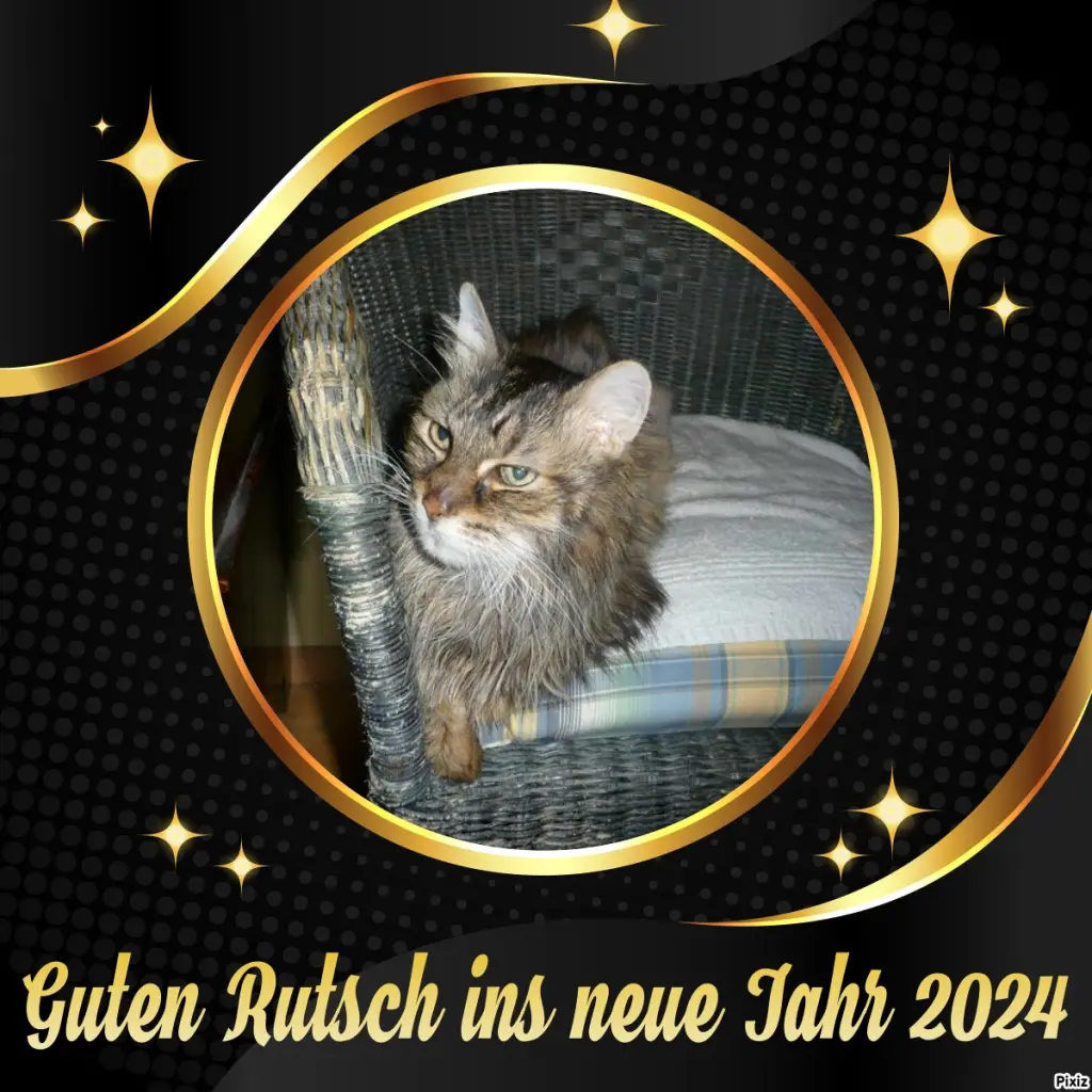 Condolence image of Timmys Mutti Tanja an Sternenprinz Pummelchen ❤