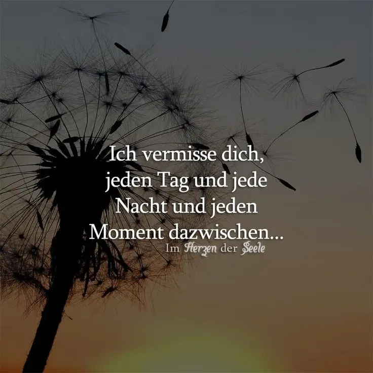 Condolence image of Daniela an Pummelchen ❤️